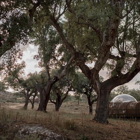 Finca El Cortinal Valencia de Alcántara المظهر الخارجي الصورة