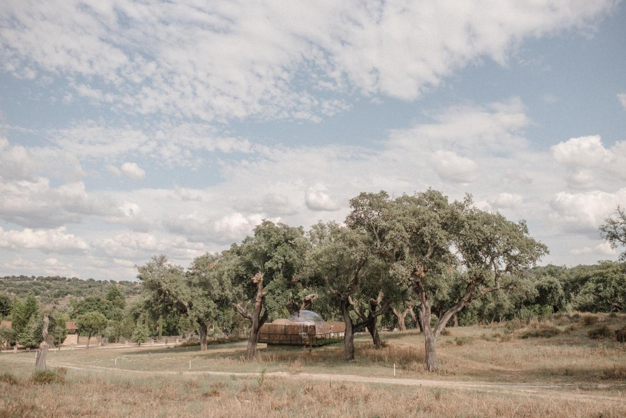 Finca El Cortinal Valencia de Alcántara المظهر الخارجي الصورة
