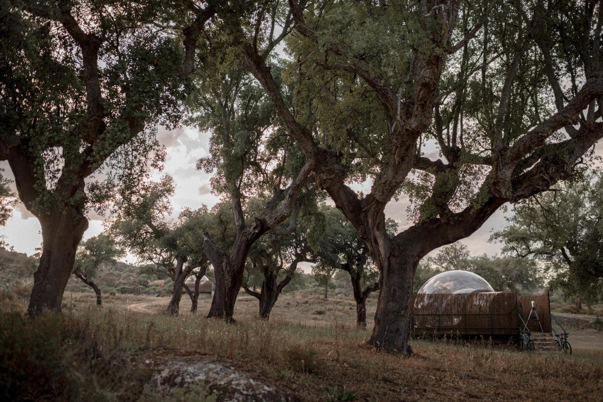 Finca El Cortinal Valencia de Alcántara المظهر الخارجي الصورة