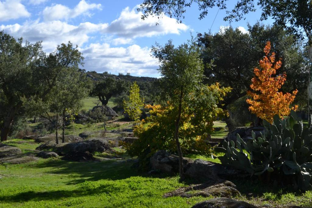 Finca El Cortinal Valencia de Alcántara الغرفة الصورة